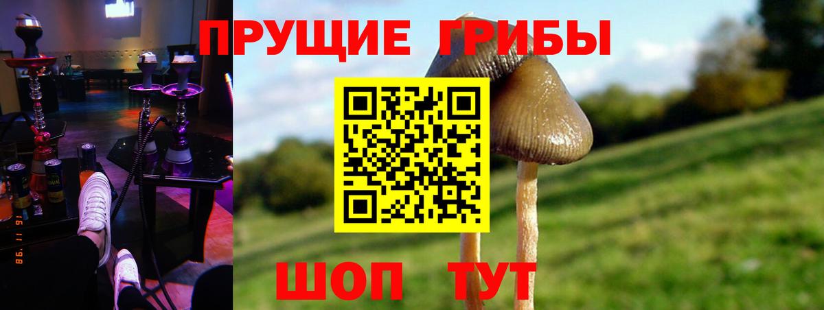 Галлюциногенные грибы мухоморы  Вход с VPN  Богородск 